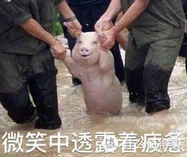 有了它,黑暗料理师秒变厨艺达人,美的PG2310微蒸烤料理炉测评